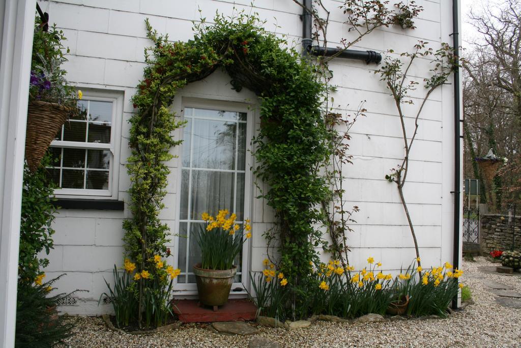 Clayhill House Bed & Breakfast Lyndhurst Exterior foto
